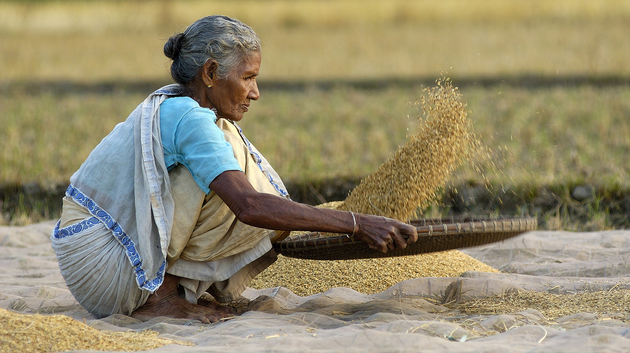 Winnowing - Life on Earth Pictures